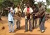 Shidodo - Africa | New Nigerian Ogene Music