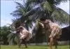 King Robert Ebizimor - Yei Tare Ere