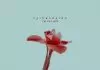 Patoranking - I'm In Love